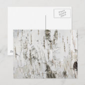 CARTE POSTALE BARK BIRCH (Devant / Derrière)