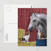 Carte postale "Barn Buds" (Devant / Derrière)