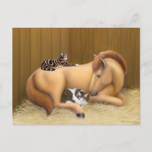 Carte postale Barn Friends (Devant)