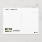 Carte Postale Barn in Central Texas Postcard (Dos)