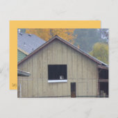 Carte postale Barn Kitty (Devant / Derrière)