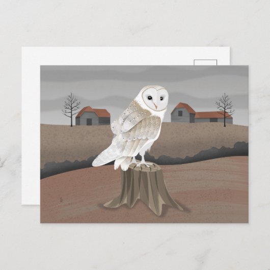Carte Postale Barn Owl (Devant / Derrière)