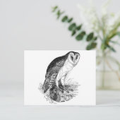Carte Postale Barn Owl (Debout devant)