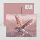 Carte postale Barn Owl (Devant / Derrière)