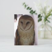 Carte Postale Barn Owl (Debout devant)