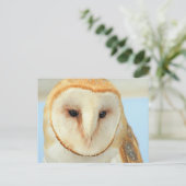 Carte Postale Barn Owl (Debout devant)