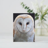 Carte postale Barn Owl (Debout devant)