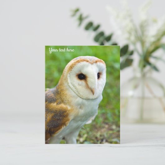 Carte postale Barn Owl (Debout devant)