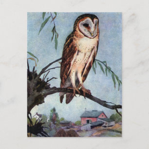 Carte Postale Barn Owl, Farmhouse et Barn
