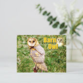 Carte Postale Barn Owl (Tyto alba) (Debout devant)