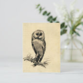Carte Postale Barn Owl vu du front par Vincent van Gogh (Debout devant)