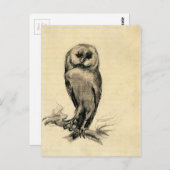 Carte Postale Barn Owl vu du front par Vincent van Gogh (Devant / Derrière)