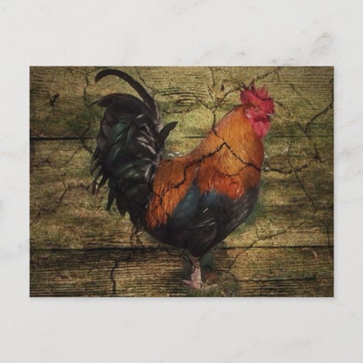 Carte Postale Barn Wood Chicken french country rooster (Devant)