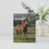Carte Postale Barn Woodgrain (Debout devant)