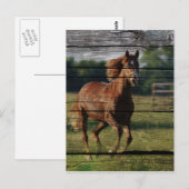 Carte Postale Barn Woodgrain (Devant / Derrière)