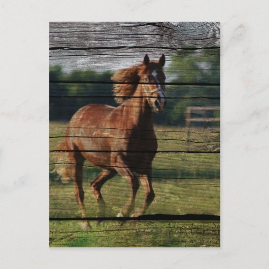 Carte Postale Barn Woodgrain (Devant)