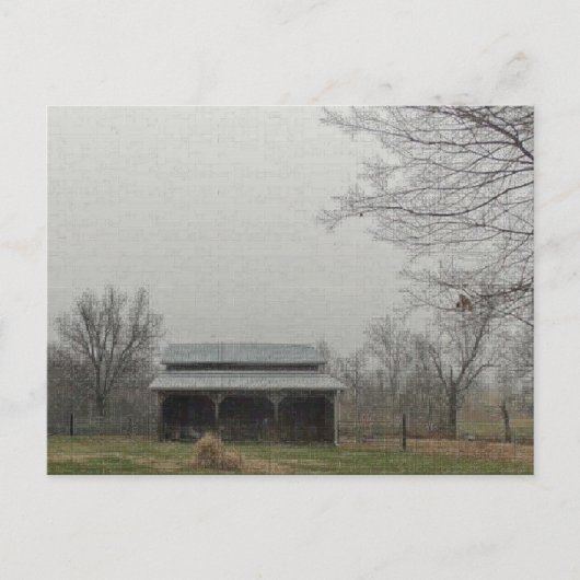 Carte Postale Barne noire (Devant)