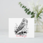 Carte Postale Barne Owl Thunder_Cove (Debout devant)