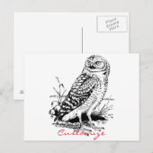 Carte Postale Barne Owl Thunder_Cove (Devant / Derrière)