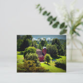 Carte Postale Barne rouge (Debout devant)