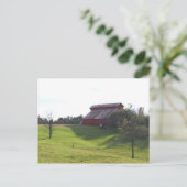 Carte Postale Barne rouge (Debout devant)