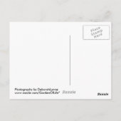 Carte Postale Barnegat Phare Vieux Barney (Dos)