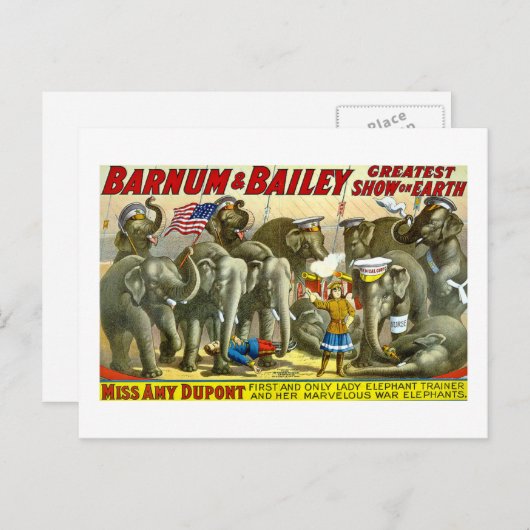 Carte Postale Barnum et Bailey - éléphants (Devant / Derrière)