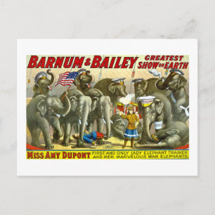 Carte Postale Barnum et Bailey - éléphants