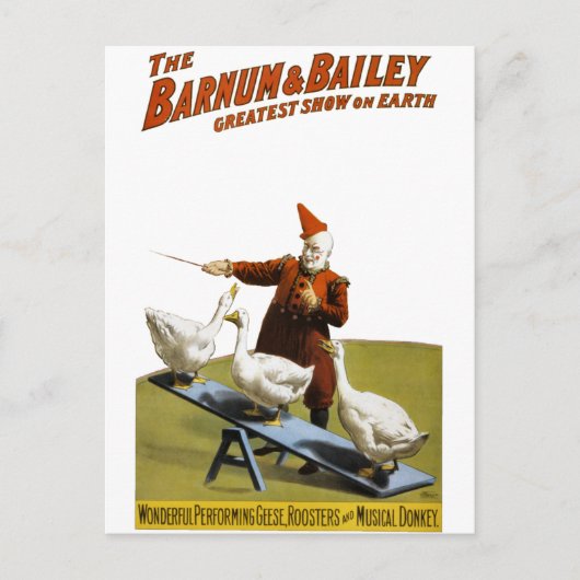 Carte Postale Barnum et Bailey : Interprétation de l'oie (Devant)