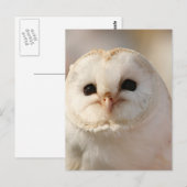 Carte Postale Barny the Barn Owl (Devant / Derrière)