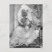 Carte Postale Baronne en robe Mariage (Devant)