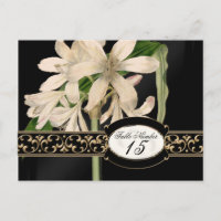 Baroque Vintage Lily Formel Mariage Numéros de tab