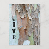 Carte Postale Barque d'arbre, Amour, Rustique (Devant)