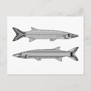 Carte postale Barracuda Fish Adult Coloration