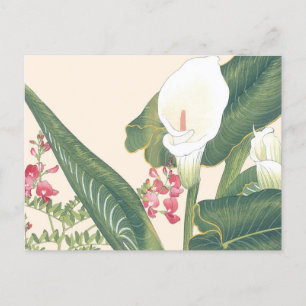Carte Postale Barrage de bois Vintage du Japon White Calla Lily