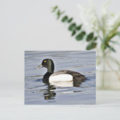 Carte Postale Barrage de l'épi (Debout devant)