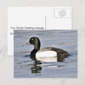 Carte Postale Barrage de l'épi (Devant / Derrière)