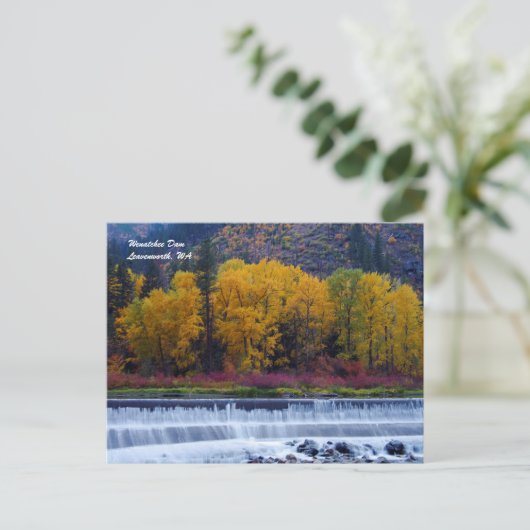 Carte Postale Barrage de Wenatchee (Debout devant)