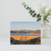 Carte Postale Barrage du lac Shasta en Californie (Debout devant)