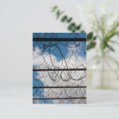 Carte Postale Barre de fil (Debout devant)