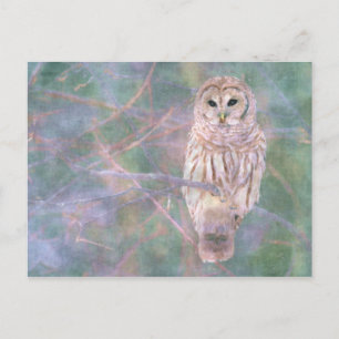 Carte Postale Barred Owl Pastel Peinture numérique d'huile