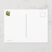 Carte Postale Barred Owley (Dos)