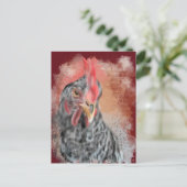 Carte Postale Barred Rock Hen (Debout devant)