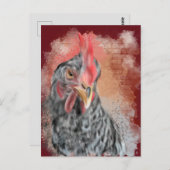 Carte Postale Barred Rock Hen (Devant / Derrière)