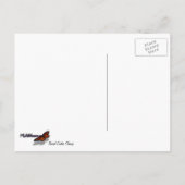 Carte Postale Barrel Cactus Closeup Abstrait Nature Photographie (Dos)