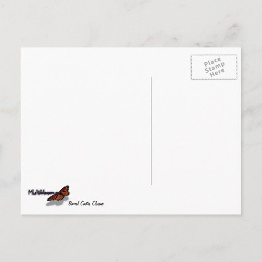 Carte Postale Barrel Cactus Closeup Abstrait Nature Photographie (Dos)