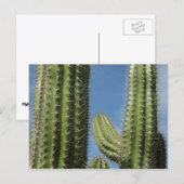 Carte Postale Barrel Cactus I Desert Photo (Devant / Derrière)