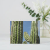 Carte Postale Barrel Cactus I Desert Photo (Debout devant)