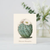 Carte Postale Barrel Cactus White Flower (Debout devant)
