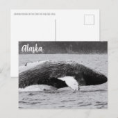 Carte Postale Barrière à bosse noir et blanc (Devant / Derrière)